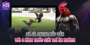 Đá Gà Online Hấp Dẫn Với 4 Hình Thức Giải Trí Ăn Khách