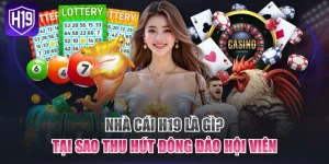 Nhà Cái H19 Là Gì? Tại Sao Thu Hút Đông Đảo Hội Viên